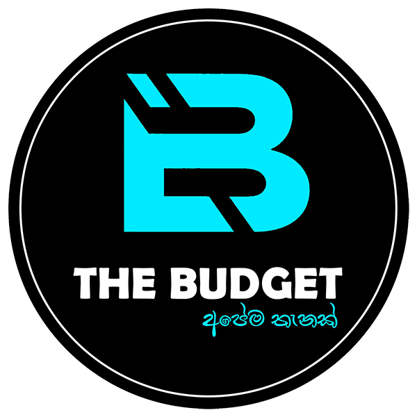 The Budget Food Store